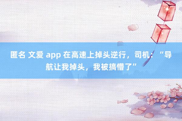 匿名 文爱 app 在高速上掉头逆行，司机：“导航让我掉头，我被搞懵了”