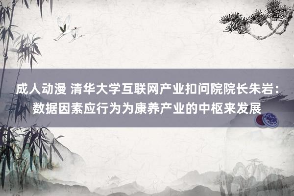 成人动漫 清华大学互联网产业扣问院院长朱岩：数据因素应行为为康养产业的中枢来发展