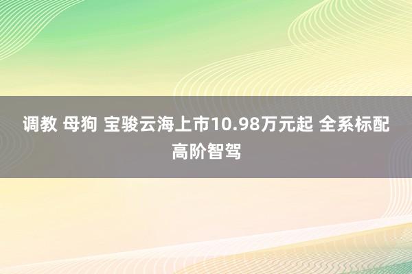 调教 母狗 宝骏云海上市10.98万元起 全系标配高阶智驾