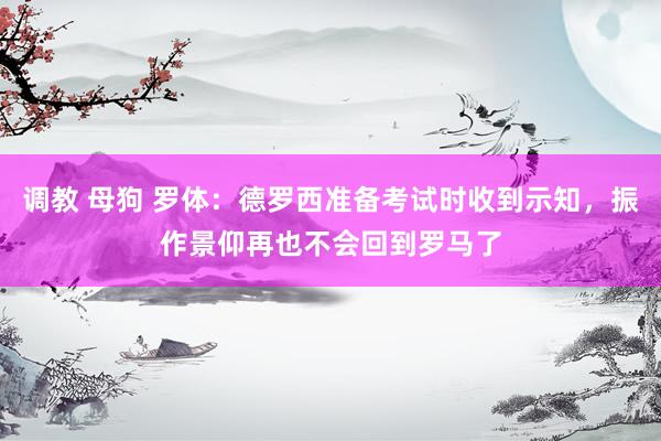 调教 母狗 罗体：德罗西准备考试时收到示知，振作景仰再也不会回到罗马了