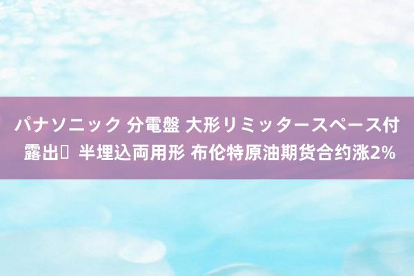 パナソニック 分電盤 大形リミッタースペース付 露出・半埋込両用形 布伦特原油期货合约涨2%