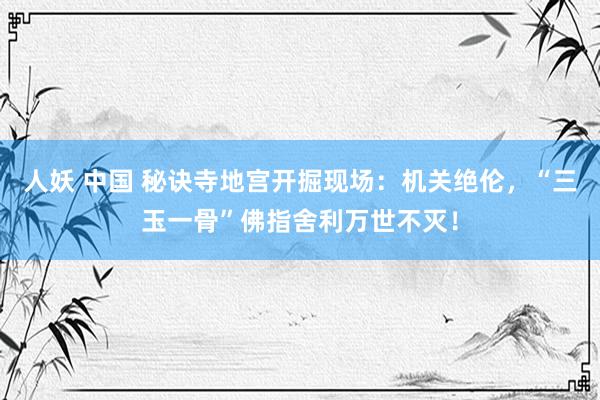 人妖 中国 秘诀寺地宫开掘现场：机关绝伦，“三玉一骨”佛指舍利万世不灭！