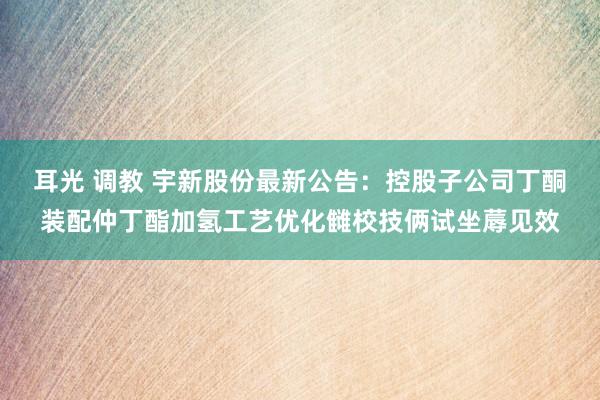 耳光 调教 宇新股份最新公告：控股子公司丁酮装配仲丁酯加氢工艺优化雠校技俩试坐蓐见效