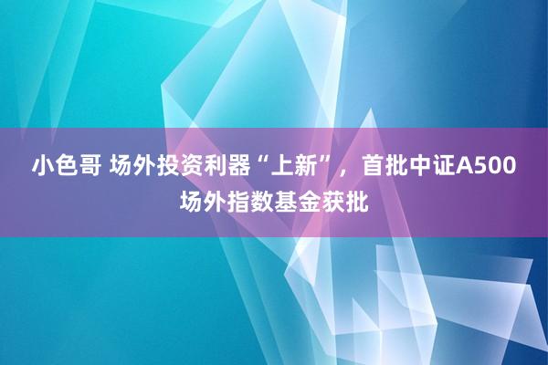 小色哥 场外投资利器“上新”，首批中证A500场外指数基金获批