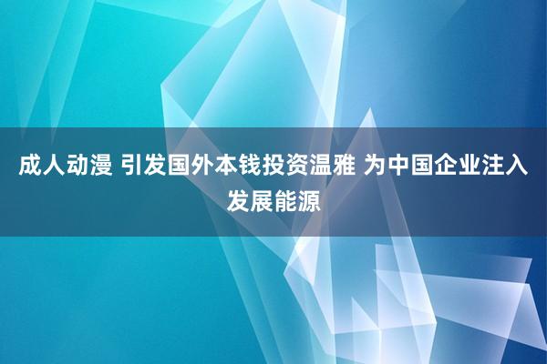 成人动漫 引发国外本钱投资温雅 为中国企业注入发展能源