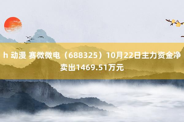 h 动漫 赛微微电（688325）10月22日主力资金净卖出1469.51万元