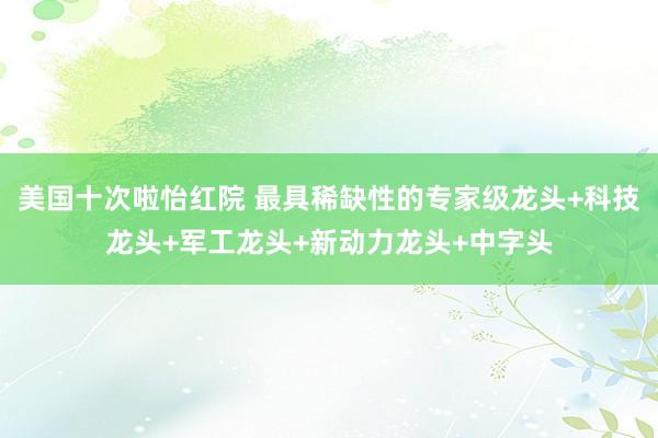 美国十次啦怡红院 最具稀缺性的专家级龙头+科技龙头+军工龙头+新动力龙头+中字头