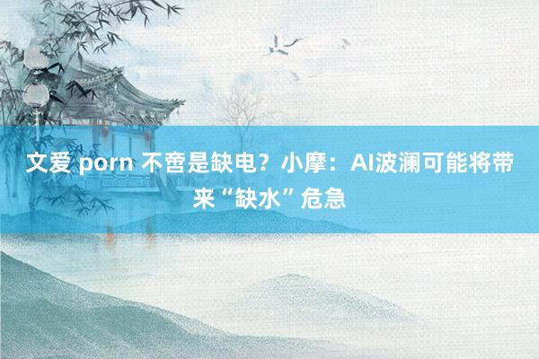 文爱 porn 不啻是缺电？小摩：AI波澜可能将带来“缺水”危急