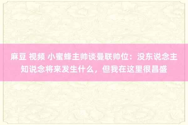 麻豆 视频 小蜜蜂主帅谈曼联帅位：没东说念主知说念将来发生什么，但我在这里很昌盛