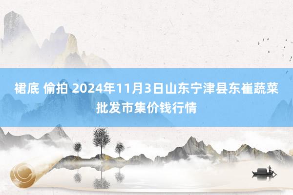 裙底 偷拍 2024年11月3日山东宁津县东崔蔬菜批发市集价钱行情