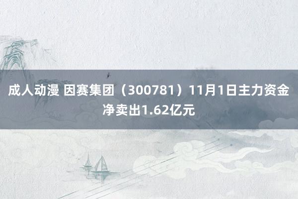 成人动漫 因赛集团（300781）11月1日主力资金净卖出1.62亿元