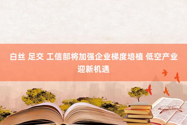 白丝 足交 工信部将加强企业梯度培植 低空产业迎新机遇