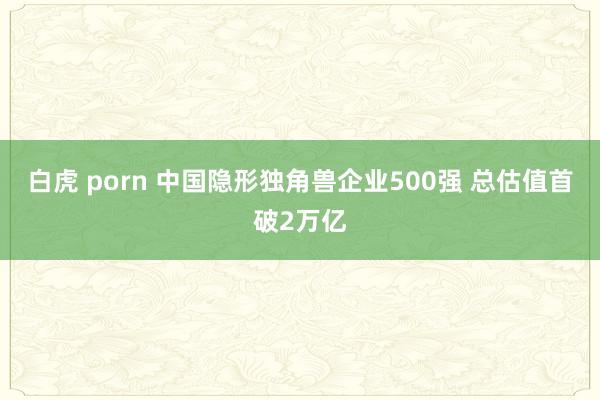 白虎 porn 中国隐形独角兽企业500强 总估值首破2万亿