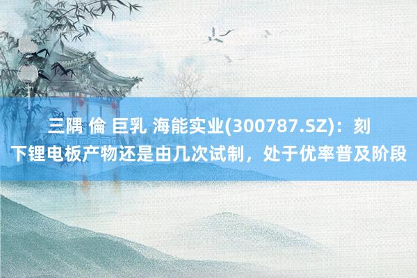 三隅 倫 巨乳 海能实业(300787.SZ)：刻下锂电板产物还是由几次试制，处于优率普及阶段