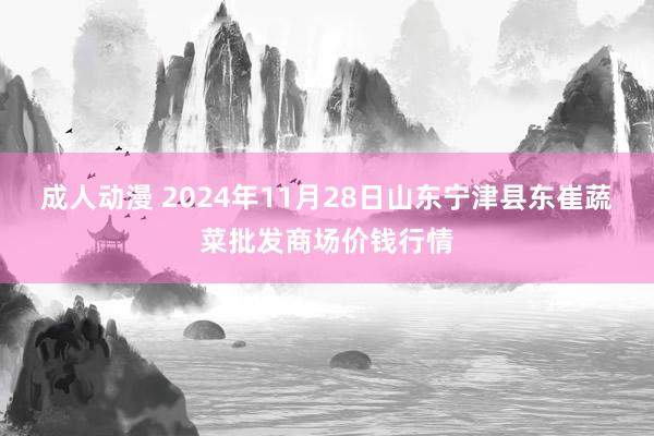 成人动漫 2024年11月28日山东宁津县东崔蔬菜批发商场价钱行情