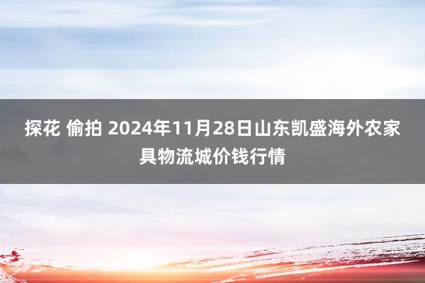 探花 偷拍 2024年11月28日山东凯盛海外农家具物流城价钱行情