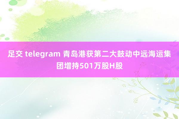 足交 telegram 青岛港获第二大鼓动中远海运集团增持501万股H股