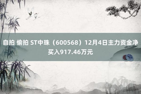 自拍 偷拍 ST中珠（600568）12月4日主力资金净买入917.46万元