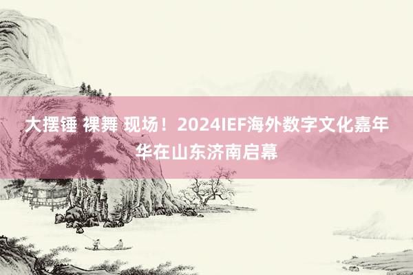 大摆锤 裸舞 现场！2024IEF海外数字文化嘉年华在山东济南启幕