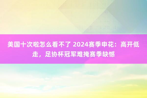 美国十次啦怎么看不了 2024赛季申花：高开低走，足协杯冠军难掩赛季缺憾