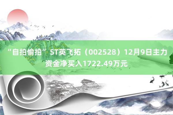 “自拍偷拍” ST英飞拓（002528）12月9日主力资金净买入1722.49万元