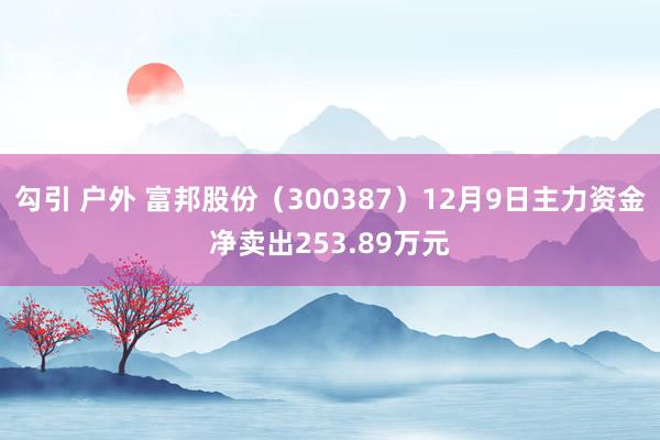 勾引 户外 富邦股份（300387）12月9日主力资金净卖出253.89万元