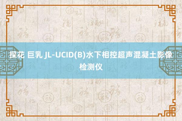 探花 巨乳 JL-UCID(B)水下相控超声混凝土影像检测仪