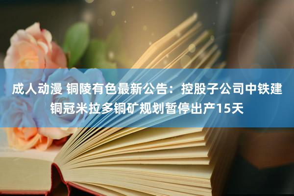 成人动漫 铜陵有色最新公告：控股子公司中铁建铜冠米拉多铜矿规划暂停出产15天