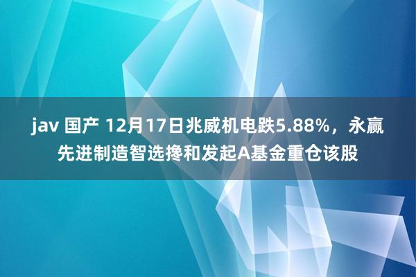 jav 国产 12月17日兆威机电跌5.88%，永赢先进制造智选搀和发起A基金重仓该股