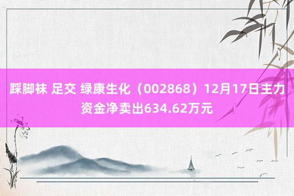 踩脚袜 足交 绿康生化（002868）12月17日主力资金净卖出634.62万元