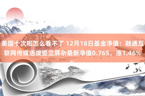 美国十次啦怎么看不了 12月18日基金净值：融通互联网传媒活泼竖立羼杂最新净值0.765，涨1.46%