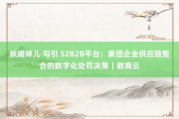 妖媚婷儿 勾引 S2B2B平台：集团企业供应链整合的数字化处罚决策｜数商云