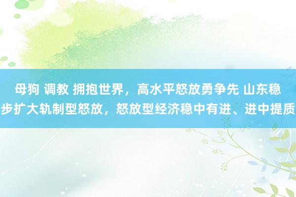 母狗 调教 拥抱世界，高水平怒放勇争先 山东稳步扩大轨制型怒放，怒放型经济稳中有进、进中提质