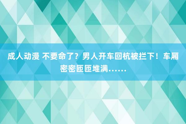 成人动漫 不要命了？男人开车回杭被拦下！车厢密密匝匝堆满……