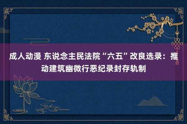 成人动漫 东说念主民法院“六五”改良选录：推动建筑幽微行恶纪录封存轨制