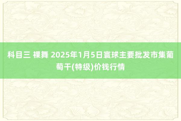 科目三 裸舞 2025年1月5日寰球主要批发市集葡萄干(特级)价钱行情