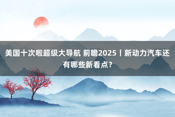 美国十次啦超级大导航 前瞻2025丨新动力汽车还有哪些新看点？