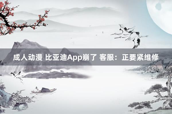 成人动漫 比亚迪App崩了 客服：正要紧维修