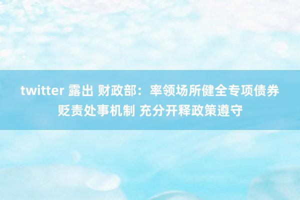 twitter 露出 财政部：率领场所健全专项债券贬责处事机制 充分开释政策遵守