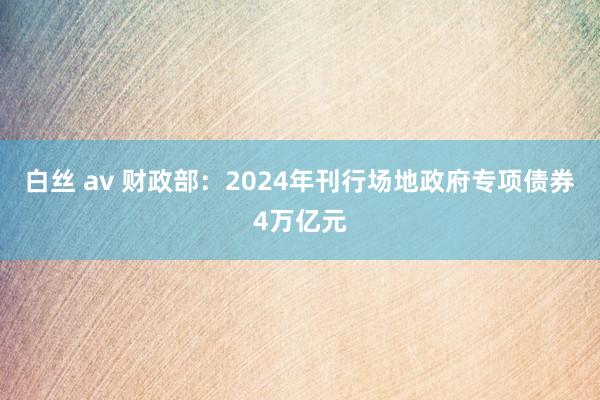 白丝 av 财政部：2024年刊行场地政府专项债券4万亿元