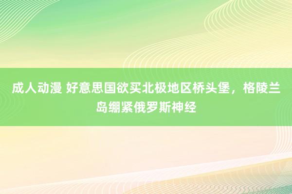 成人动漫 好意思国欲买北极地区桥头堡，格陵兰岛绷紧俄罗斯神经