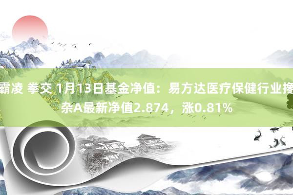 霸凌 拳交 1月13日基金净值：易方达医疗保健行业搀杂A最新净值2.874，涨0.81%