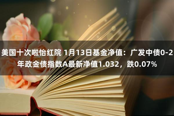 美国十次啦怡红院 1月13日基金净值：广发中债0-2年政金债指数A最新净值1.032，跌0.07%